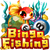 Bingo Fishing on aa455